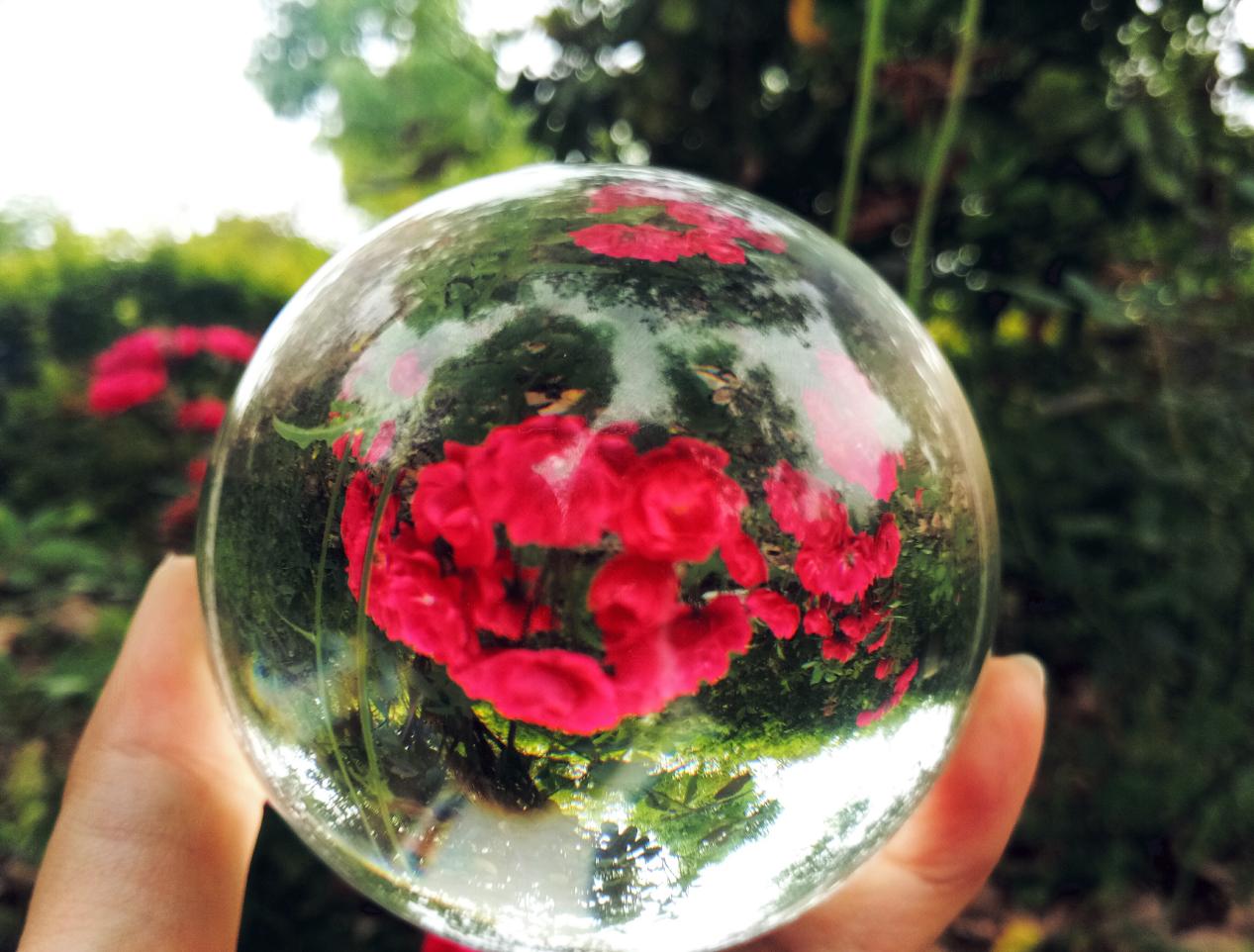 IMG_20180505_140255 IMG_20180505_140255