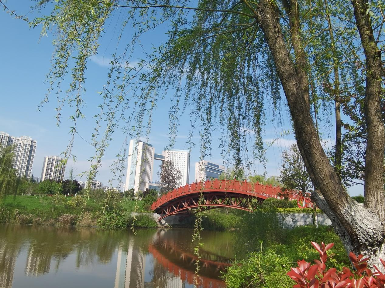 mmexport1617968242304 mmexport1617968242304